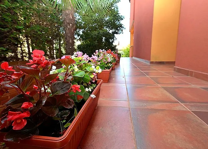 Casa Sol Maris شقة Novigrad Istria